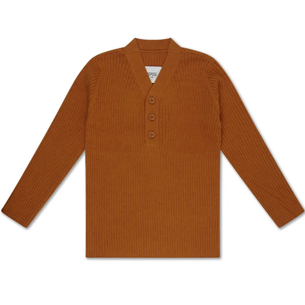 Sweater Knit V-Neck Warmed Rust